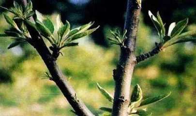 �e���f���ʡ��F���ò��𣡡���ʲô��ô����߀���ã��~���@ô��