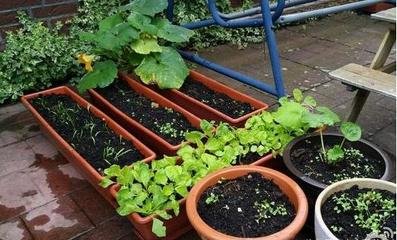 ����ֲ���ЙC(j��)�ʵ�ʩ�÷���