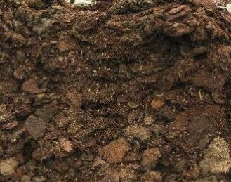 ȫ����������ЙC(j��)�ʣ��P(gu��n)���ЙC(j��)�ʣ��@Щ��Ϣ�㶼֪����