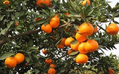 ���ٶ���ʩ�ʼ��g