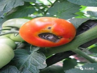 ȱ�}һ��Ҫ��(d��ng)�ģ��@Щ�a(b��)�}�ĳ��R���֪��