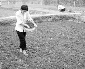 �׷�ʩ�ö࣬�t��ᄴ��e��ÿ��ʩ�@�������������