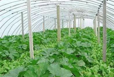 �������ҹ������@�ׂ�(g��)��(w��n)�}ǧ�f(w��n)Ҫע����