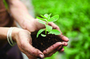 ʲô��΢�������