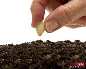 ����ʩ����⛷ʷ�����