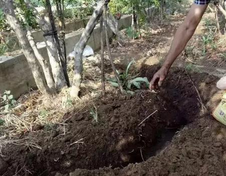 �¹ܷʃr��ô�q���@��ʩ��Ч�ʸߣ�