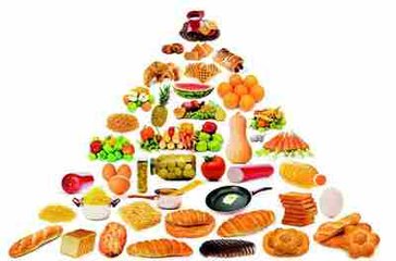 ��ҕԪ���g���� �V�I�B(y��ng)�C�Ϲ���