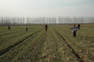 С���D��ʩ�÷���