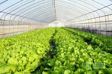 �����߲�ʩ�ʴ��ڵĆ�(w��n)�}�����M(j��n)��ʩ