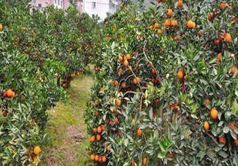 ���ٿƌW(xu��)ʩ�ʼ��g(sh��)