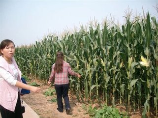 �����~���ʩ�ü���ָ��