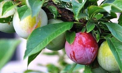 ����ʩ�ʼ��g