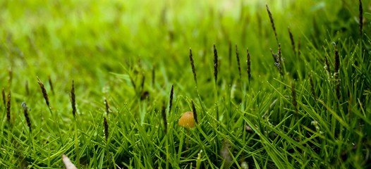 ⛷ʌ�ֲ�����L��Ӱ�