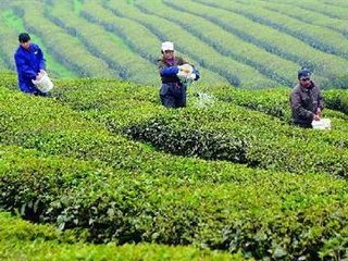 ������@ʩ�ʼ��g