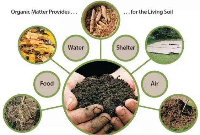 �����ЙC�|(zh��)����1%��ÿ��Ҫ�ö����ЙC�ʣ�