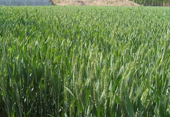 С���ƌWʩ�\����