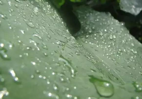 �~�懊����ԭ�t