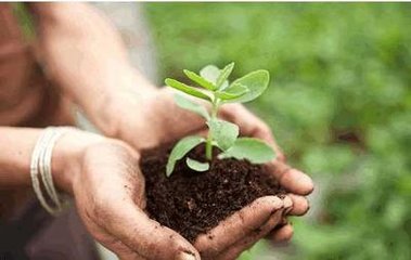 ΢���������ʲô��;���o�����Nֲ�x��ʲô�ӵķ��Ϻ�