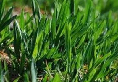 �r�Y�˱�������紺С����ܼ��g��