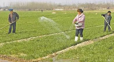 ʩ��ǧ�f��Ҫ��ӛ����Ҫ���ֹ����