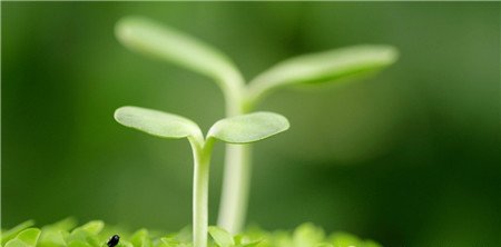 ������ʵ�ʹ�÷�����ע�����