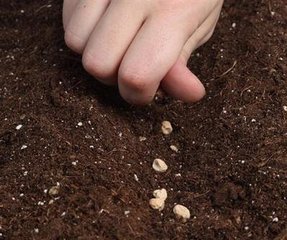 �N�ʵ�����