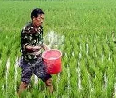 ���@�ķ�Ч���ã��_��Ц���϶��������e�ˣ�