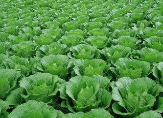 �~��ʵă�(y��u)�c�cʩ�÷���