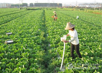 24�N����������Կ��Y��