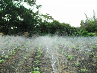 6�н���ʹ�ô���Ԫ��ˮ�ܷʣ�����Ч�߸��ɿ���