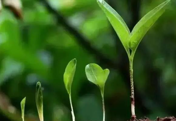 �]�д󻯷ʾ͛]�и߮a����ǧ�f�e���ЙC���c�󻯷ʡ��Ȅ��^����