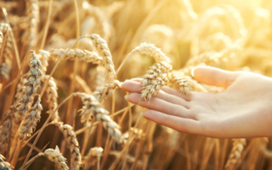 �p����Ч�ļ��g(sh��)����Щ�����׺�С�����߲˹�����Μp����Ч