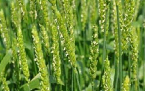 С���ι�����r����ôʩ�ʣ�