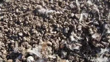 �ЙC��ʹ��Ч�����ѣ����}������������