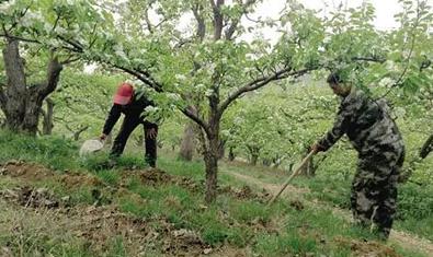 ���س�����׷������߀���@Щ��;��