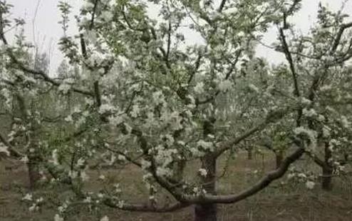 ����ʩ�ʺ󣬞�ʲô����s���ˣ��@Щ�e(cu��)��ǧ�f�e�ٷ���