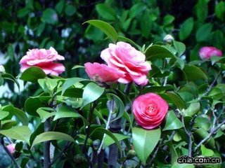 ɽ�軨��ʩ�ʼ��g