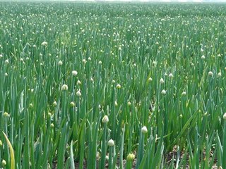 �[����߲�ʩ�ʵķ���