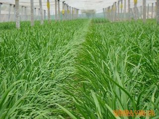 �ЙC�²�ʩ���ЙC�ʵķ���