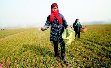 ����С����ôʩ����