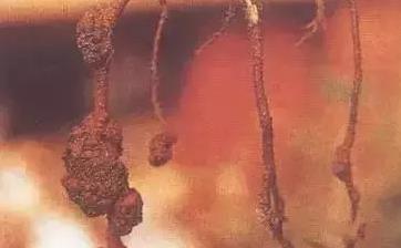 ��ȫ���u�Sʩ�ó��R���������V�����ʩ�ø���Ч��