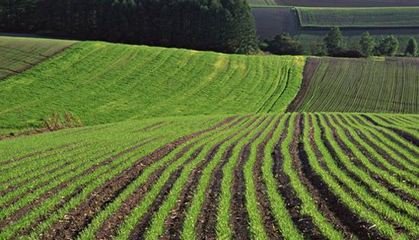 С����ʩ�~���ע�����