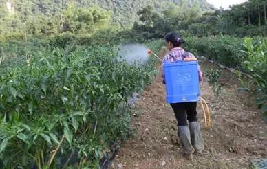 �~����c�rˎ����5�cע�⣡����a���ʺ�ˎ��