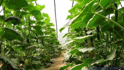 ����Ԫ��ˮ�ܷʛ_ʩ�ʵ����c��ʹ�÷���