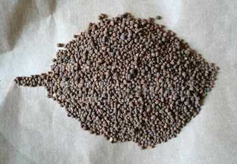 ����֮�gҲ����������ˡ������ղ��Õ��Դ�̝��