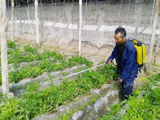 �߲ˇ�ʩ΢��Ԫ�طʰ����P