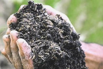 ��ʲôҪ���ЙC(j��)�ʣ����걾����Ҳ�ã�