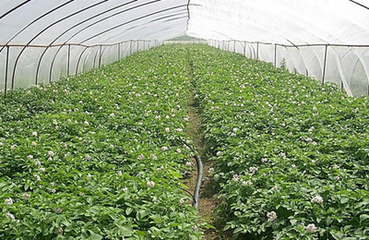 �����߲˵�ʩ�ʼ��g(sh��)