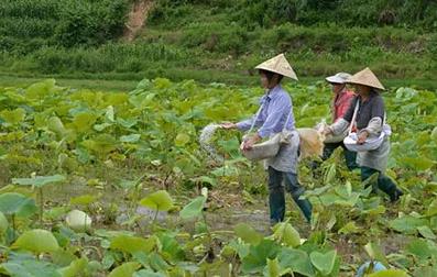 �^��ʩ�õ���⛣�������ɶΣ����Σ����᣿