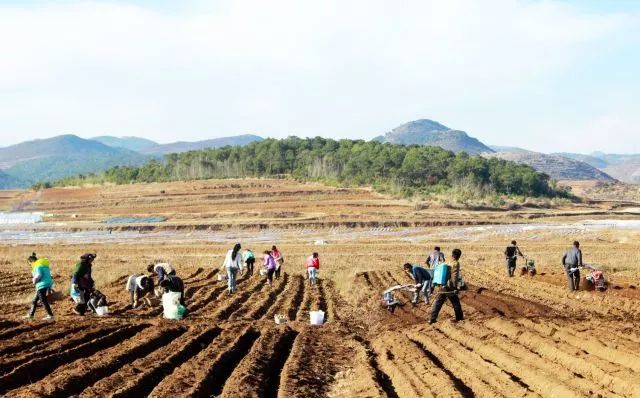 ���ײ��N��զ�_����ʩ�ʸ[�Tһ���Ͷ���